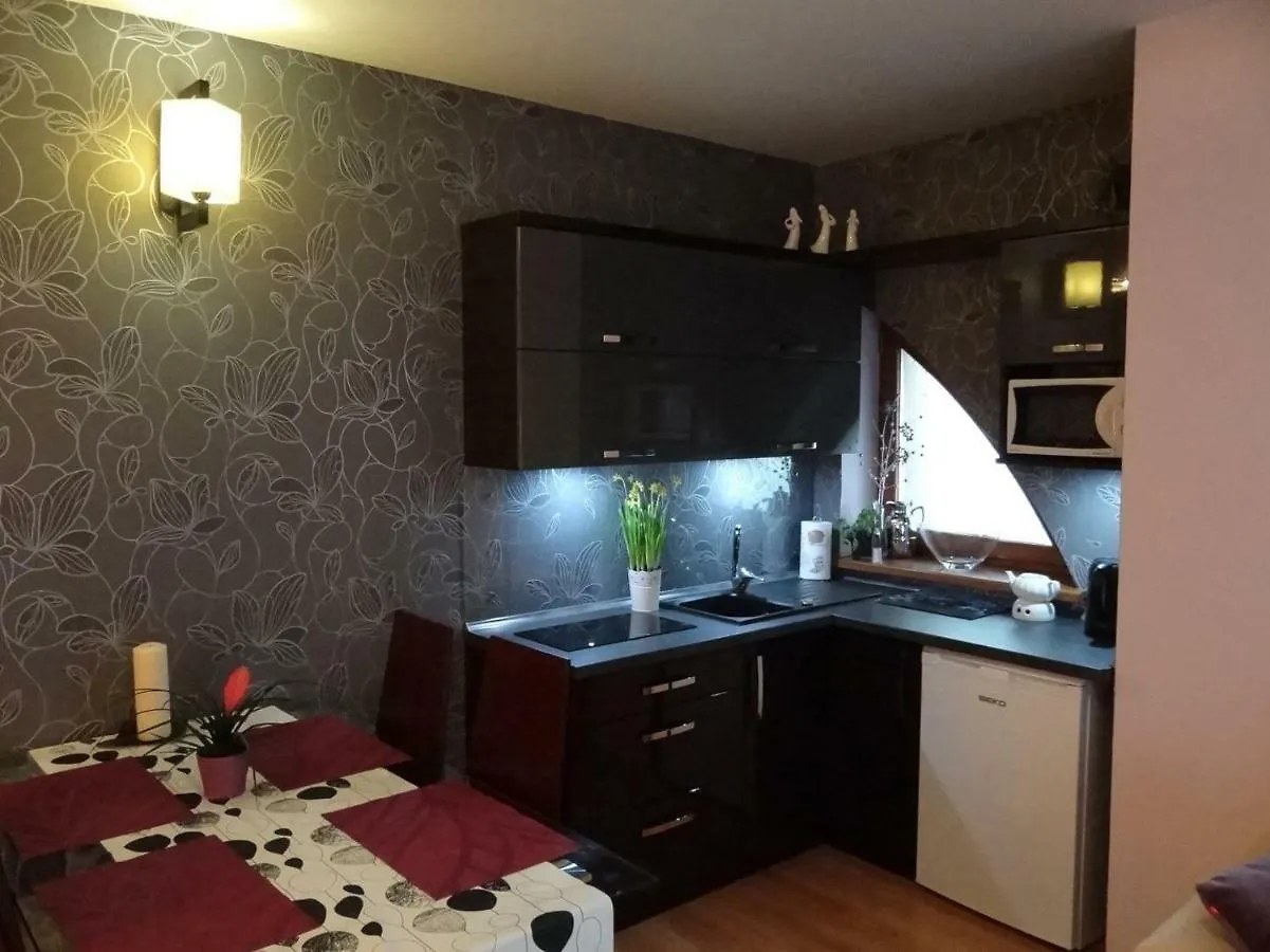 Panorama Koscielisko Apartment Zakopane